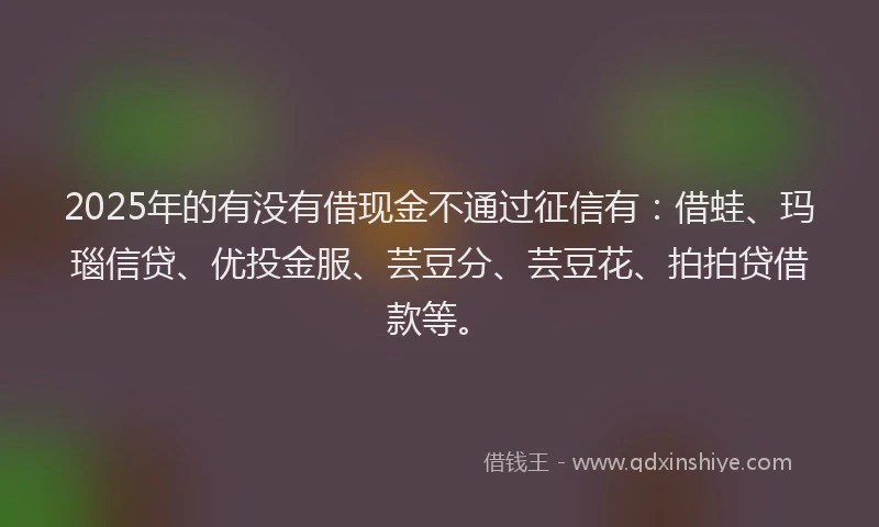 2025年的有没有借现金不通过征信有:借蛙、玛瑙信贷、优投金服、芸豆分、芸豆花、拍拍贷借款等。