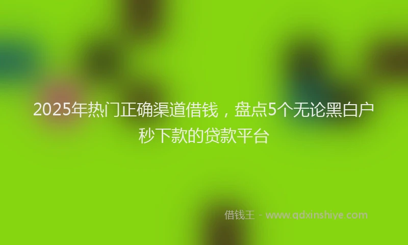 2025年热门正确渠道借钱，盘点5个无论黑白户秒下款的贷款平台