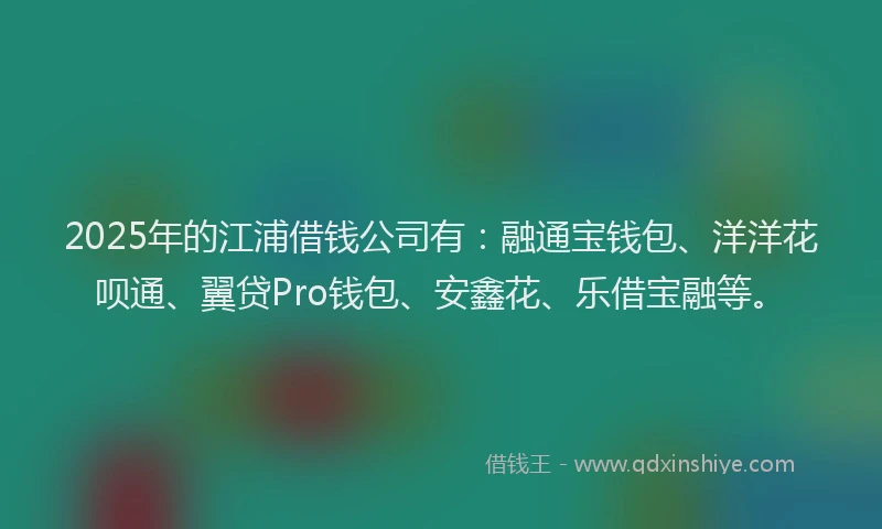 2025年的江浦借钱公司有：融通宝钱包、洋洋花呗通、翼贷Pro钱包、安鑫花、乐借宝融等。