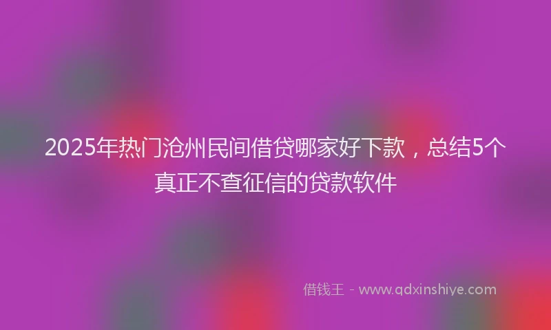 2025年热门沧州民间借贷哪家好下款，总结5个真正不查征信的贷款软件