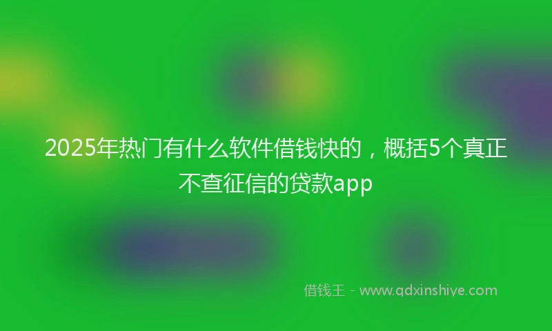 2025年热门有什么软件借钱快的，概括5个真正不查征信的贷款app