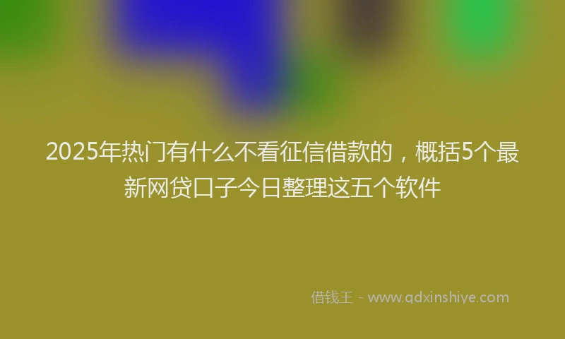 2025年热门有什么不看征信借款的，概括5个最新网贷口子今日整理这五个软件