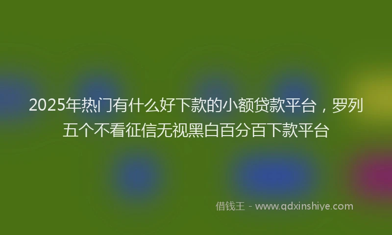 2025年热门有什么好下款的小额贷款平台，罗列五个不看征信无视黑白百分百下款平台