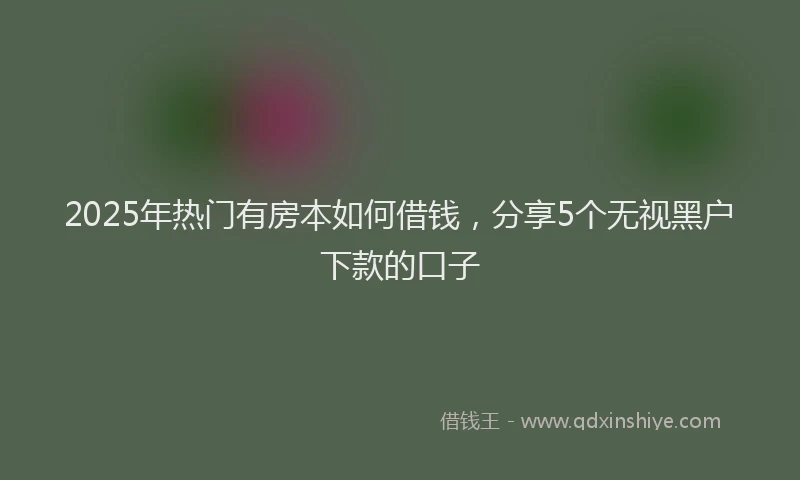 2025年热门有房本如何借钱，分享5个无视黑户下款的口子