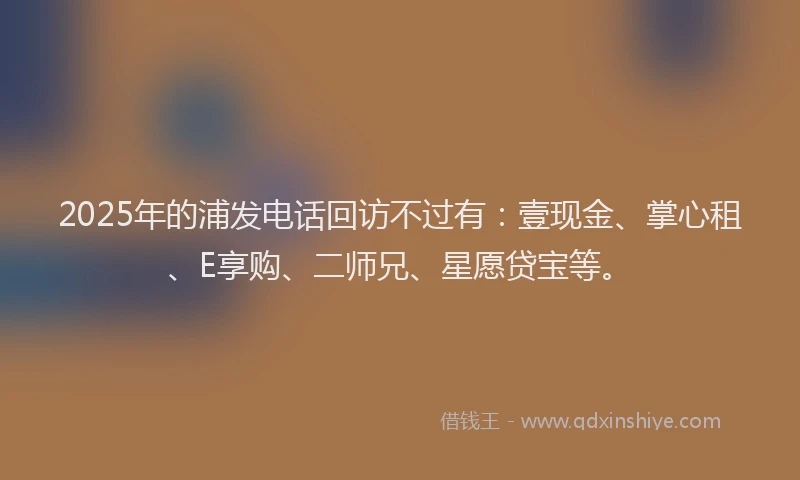 2025年的浦发电话回访不过有：壹现金、掌心租、E享购、二师兄、星愿贷宝等。