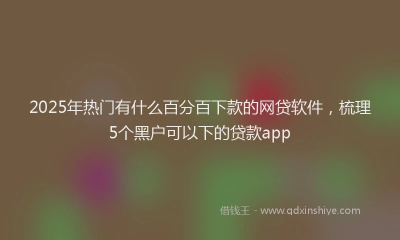 2025年热门有什么百分百下款的网贷软件，梳理5个黑户可以下的贷款app