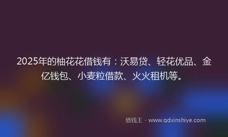 2025年的柚花花借钱有：沃易贷、轻花优品、金亿钱包、小麦粒借款、火火租机等。