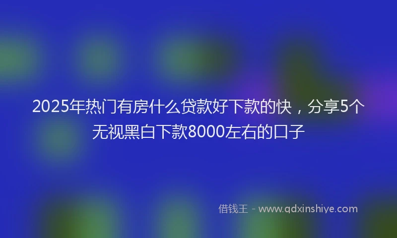 2025年热门有房什么贷款好下款的快，分享5个无视黑白下款8000左右的口子