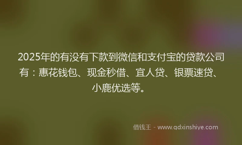 2025年的有没有下款到微信和支付宝的贷款公司有：惠花钱包、现金秒借、宜人贷、银票速贷、小鹿优选等。