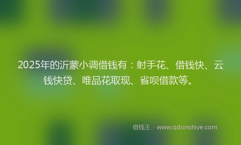 2025年的沂蒙小调借钱有：射手花、借钱快、云钱快贷、唯品花取现、省呗借款等。