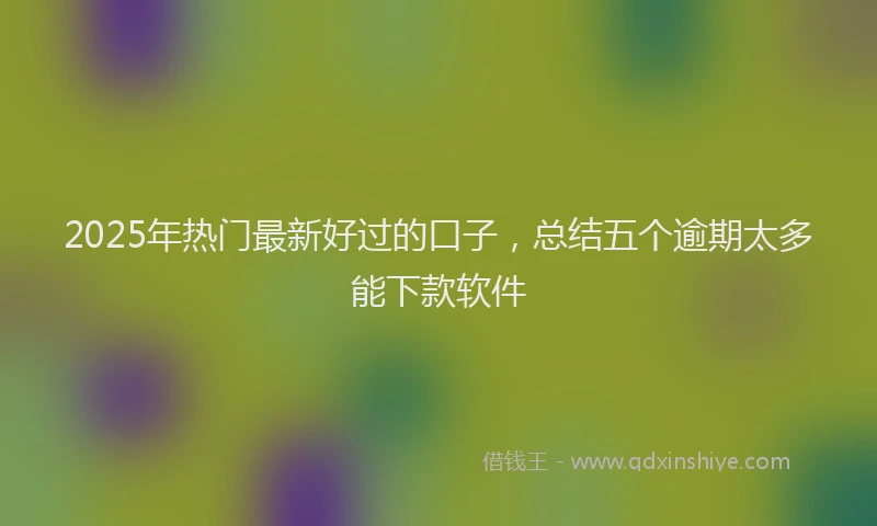 2025年热门最新好过的口子，总结五个逾期太多能下款软件
