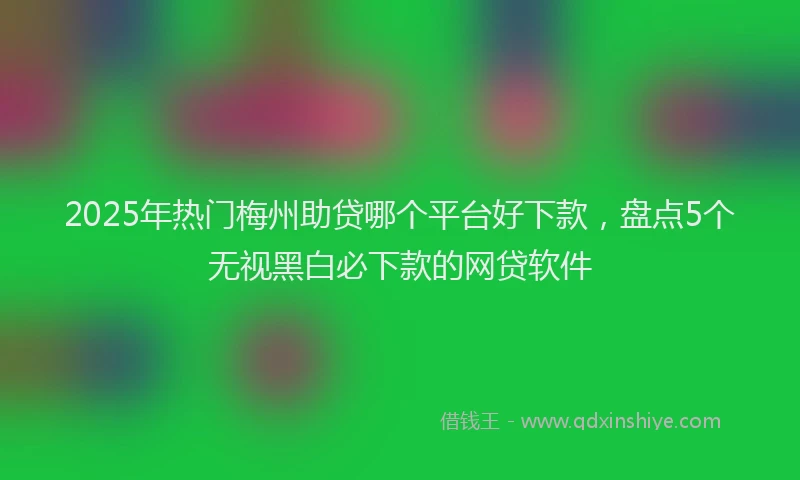 2025年热门梅州助贷哪个平台好下款，盘点5个无视黑白必下款的网贷软件