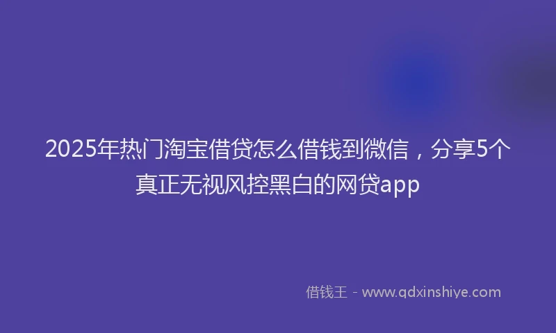 2025年热门淘宝借贷怎么借钱到微信,分享5个真正无视风控黑白的网贷app