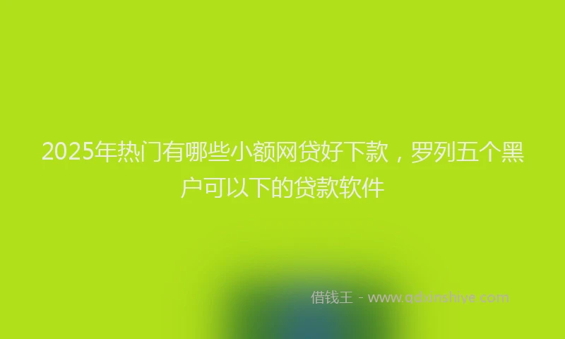 2025年热门有哪些小额网贷好下款，罗列五个黑户可以下的贷款软件