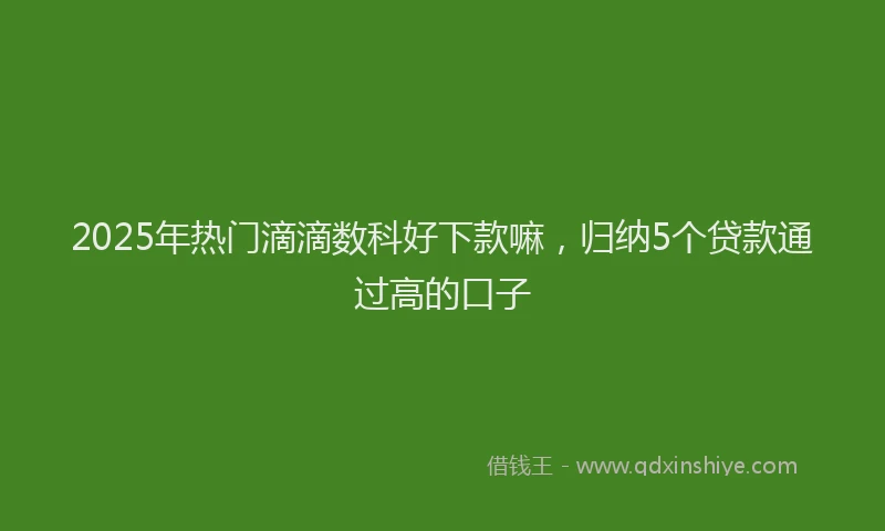 2025年热门滴滴数科好下款嘛，归纳5个贷款通过高的口子
