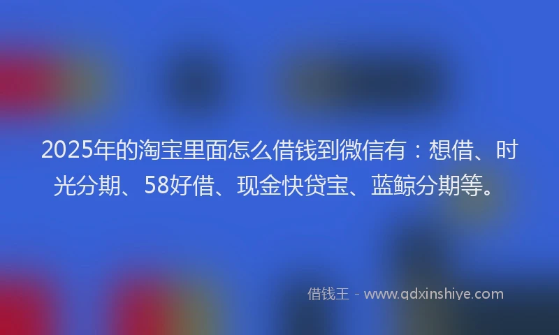 2025年的淘宝里面怎么借钱到微信有：想借、时光分期、58好借、现金快贷宝、蓝鲸分期等。