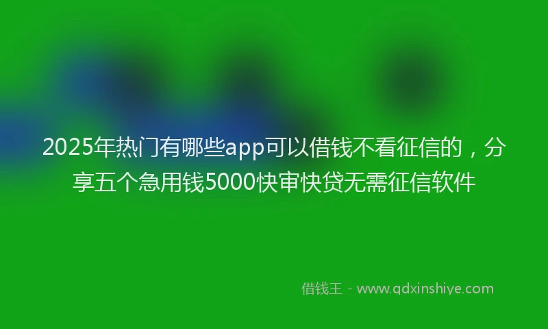 2025年热门有哪些app可以借钱不看征信的，分享五个急用钱5000快审快贷无需征信软件