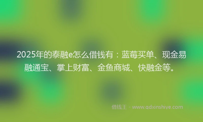 2025年的泰融e怎么借钱有：蓝莓买单、现金易融通宝、掌上财富、金鱼商城、快融金等。