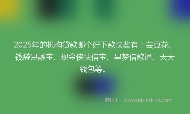 2025年的机构贷款哪个好下款快些有：芸豆花、钱袋易融宝、现金侠快借宝、星梦借款通、天天钱包等。
