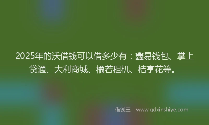 2025年的沃借钱可以借多少有：鑫易钱包、掌上贷通、大利商城、橘若租机、桔享花等。