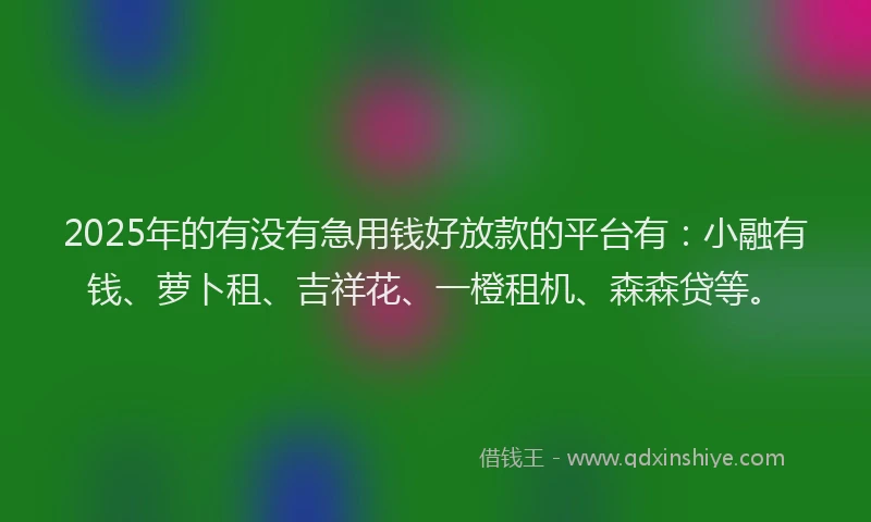 2025年的有没有急用钱好放款的平台有：小融有钱、萝卜租、吉祥花、一橙租机、森森贷等。