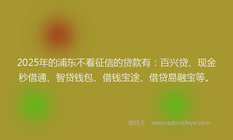 2025年的浦东不看征信的贷款有：百兴贷、现金秒借通、智贷钱包、借钱宝途、借贷易融宝等。