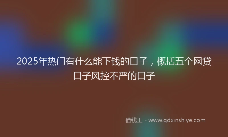 2025年热门有什么能下钱的口子，概括五个网贷口子风控不严的口子