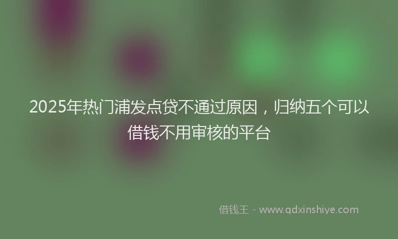 2025年热门浦发点贷不通过原因，归纳五个可以借钱不用审核的平台