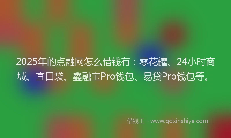 2025年的点融网怎么借钱有：零花罐、24小时商城、宜口袋、鑫融宝Pro钱包、易贷Pro钱包等。