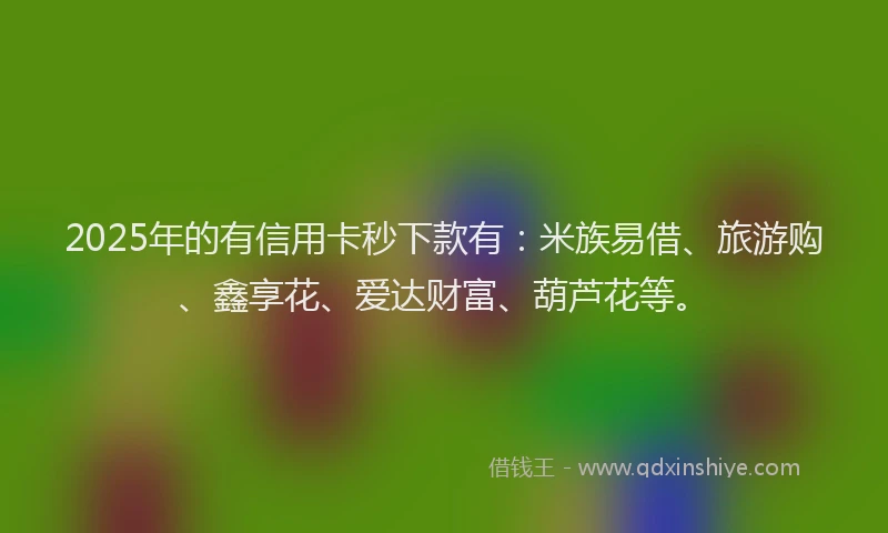 2025年的有信用卡秒下款有：米族易借、旅游购、鑫享花、爱达财富、葫芦花等。