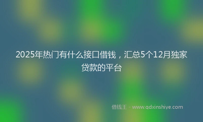 2025年热门有什么接口借钱,汇总5个12月独家贷款的平台