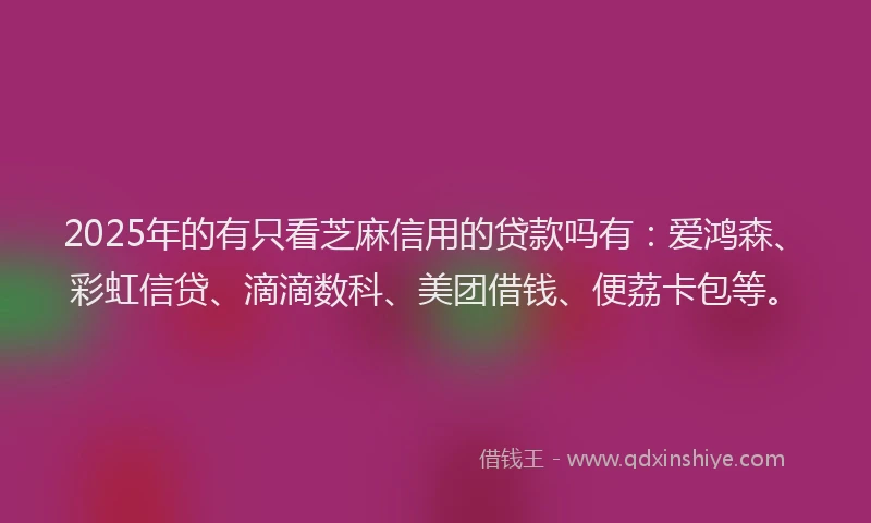 2025年的有只看芝麻信用的贷款吗有：爱鸿森、彩虹信贷、滴滴数科、美团借钱、便荔卡包等。