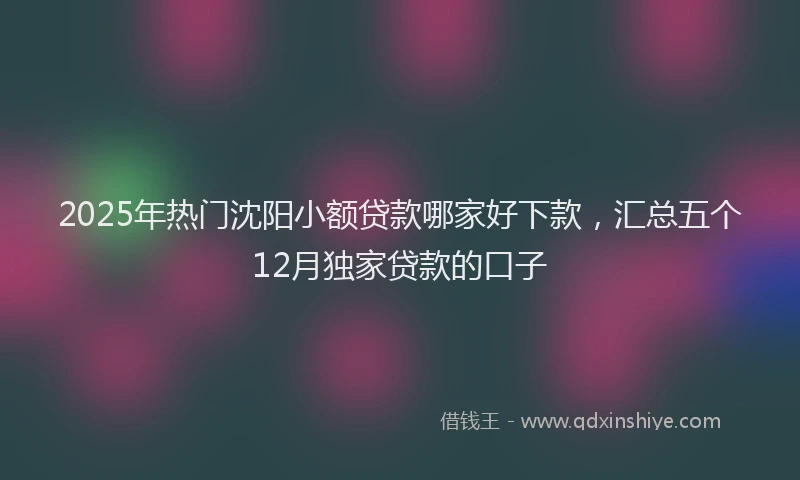 2025年热门沈阳小额贷款哪家好下款，汇总五个12月独家贷款的口子