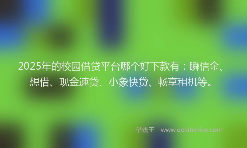 2025年的校园借贷平台哪个好下款有：瞬信金、想借、现金速贷、小象快贷、畅享租机等。