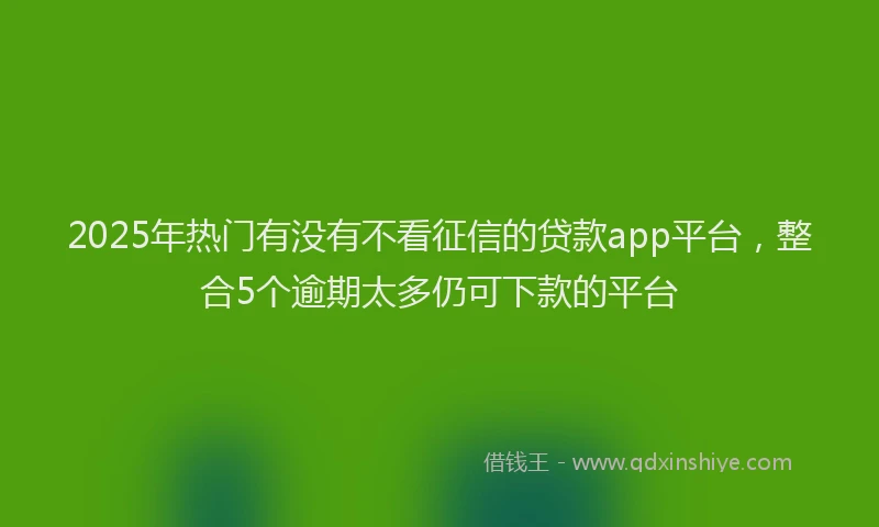 2025年热门有没有不看征信的贷款app平台，整合5个逾期太多仍可下款的平台