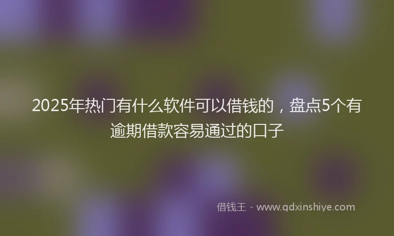 2025年热门有什么软件可以借钱的，盘点5个有逾期借款容易通过的口子