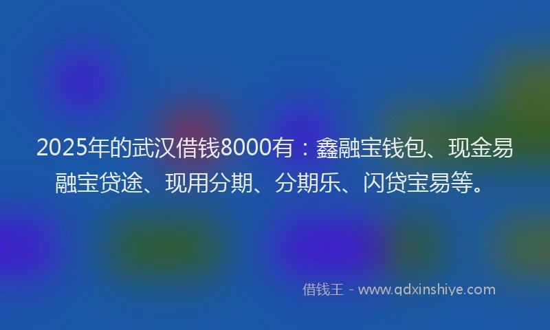 2025年的武汉借钱8000有：鑫融宝钱包、现金易融宝贷途、现用分期、分期乐、闪贷宝易等。