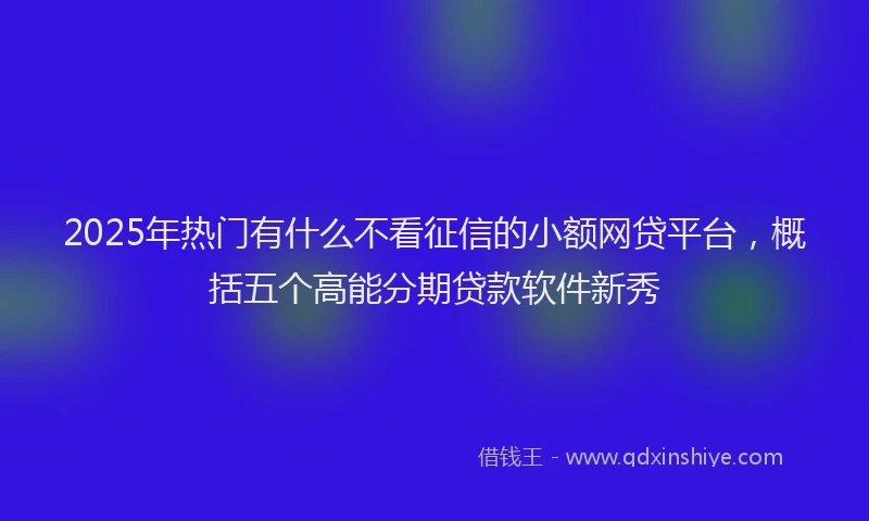 2025年热门有什么不看征信的小额网贷平台，概括五个高能分期贷款软件新秀