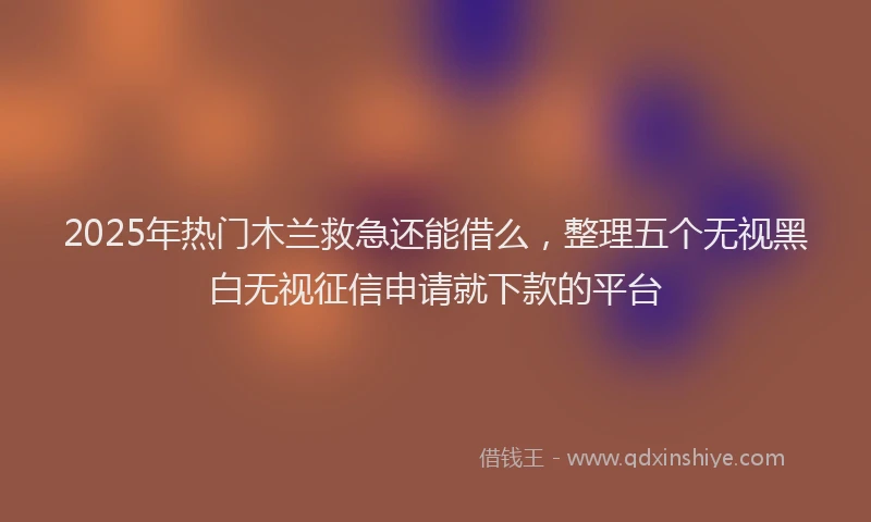 2025年热门木兰救急还能借么，整理五个无视黑白无视征信申请就下款的平台