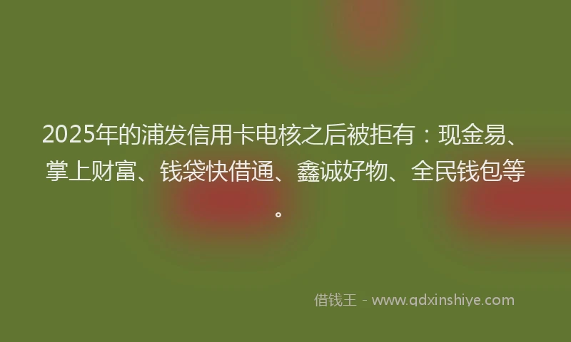 2025年的浦发信用卡电核之后被拒有：现金易、掌上财富、钱袋快借通、鑫诚好物、全民钱包等。