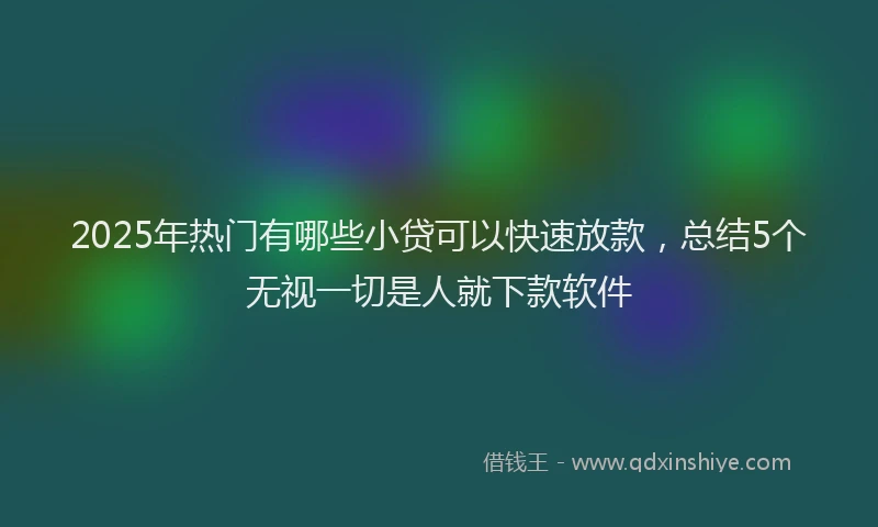 2025年热门有哪些小贷可以快速放款，总结5个无视一切是人就下款软件