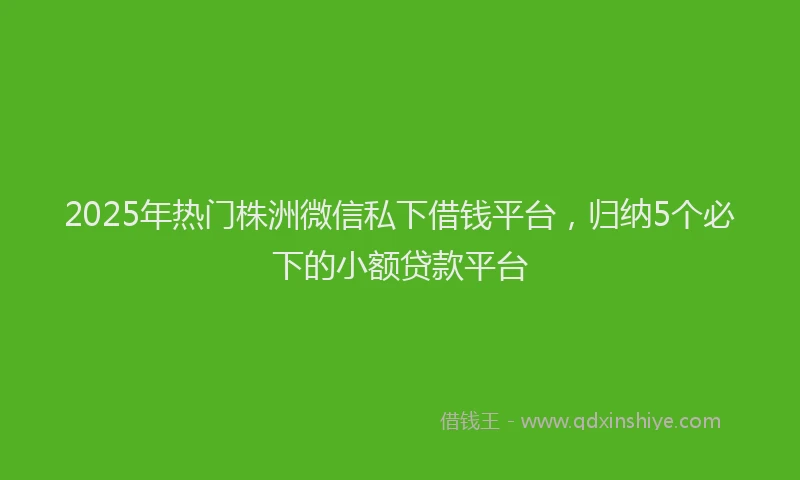 2025年热门株洲微信私下借钱平台，归纳5个必下的小额贷款平台