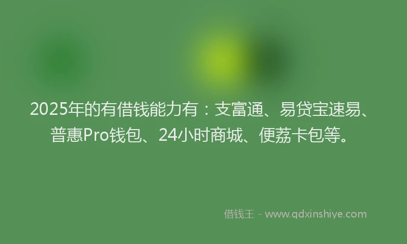 2025年的有借钱能力有：支富通、易贷宝速易、普惠Pro钱包、24小时商城、便荔卡包等。