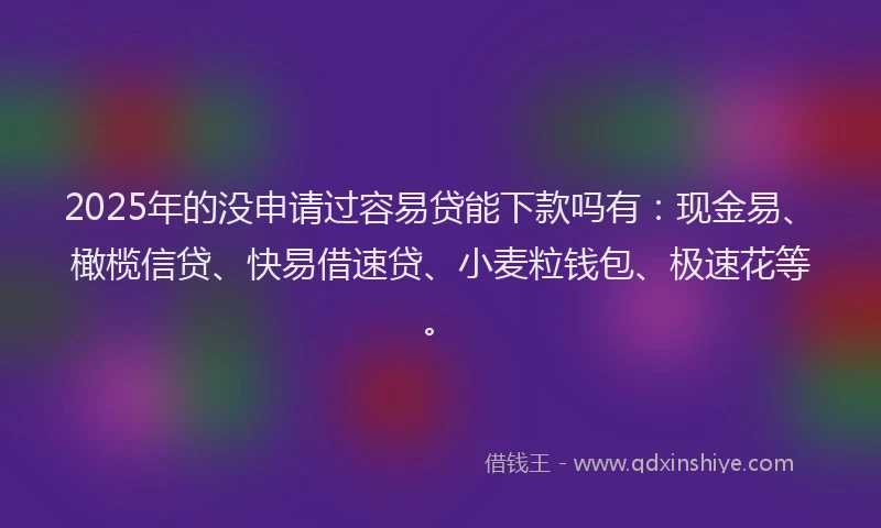 2025年的没申请过容易贷能下款吗有：现金易、橄榄信贷、快易借速贷、小麦粒钱包、极速花等。