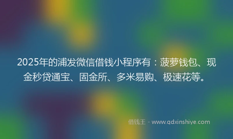2025年的浦发微信借钱小程序有：菠萝钱包、现金秒贷通宝、固金所、多米易购、极速花等。