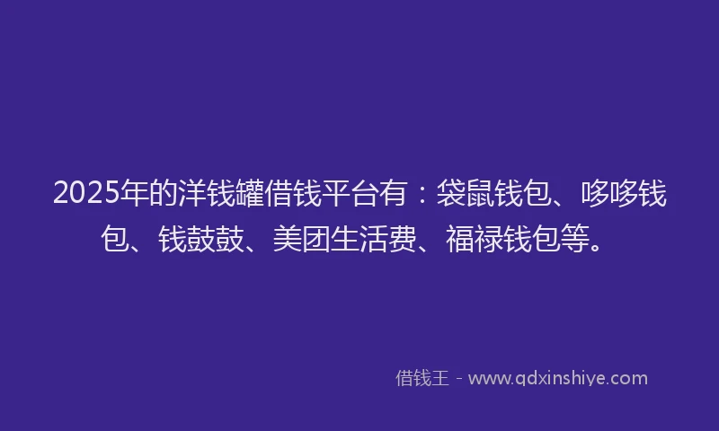 2025年的洋钱罐借钱平台有：袋鼠钱包、哆哆钱包、钱鼓鼓、美团生活费、福禄钱包等。