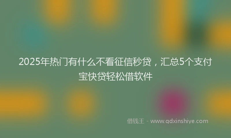 2025年热门有什么不看征信秒贷，汇总5个支付宝快贷轻松借软件