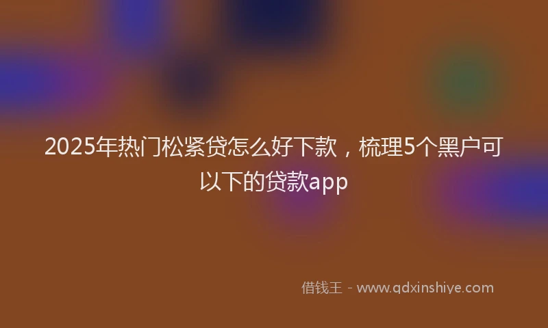 2025年热门松紧贷怎么好下款，梳理5个黑户可以下的贷款app