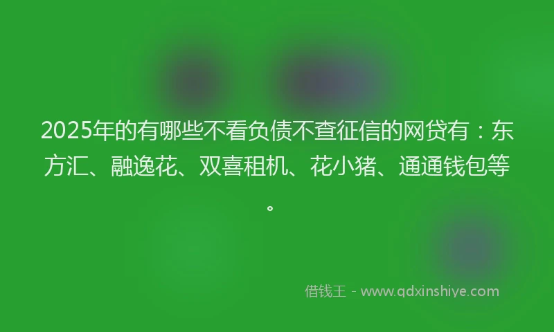2025年的有哪些不看负债不查征信的网贷有：东方汇、融逸花、双喜租机、花小猪、通通钱包等。
