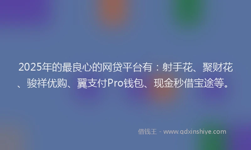 2025年的最良心的网贷平台有：射手花、聚财花、骏祥优购、翼支付Pro钱包、现金秒借宝途等。